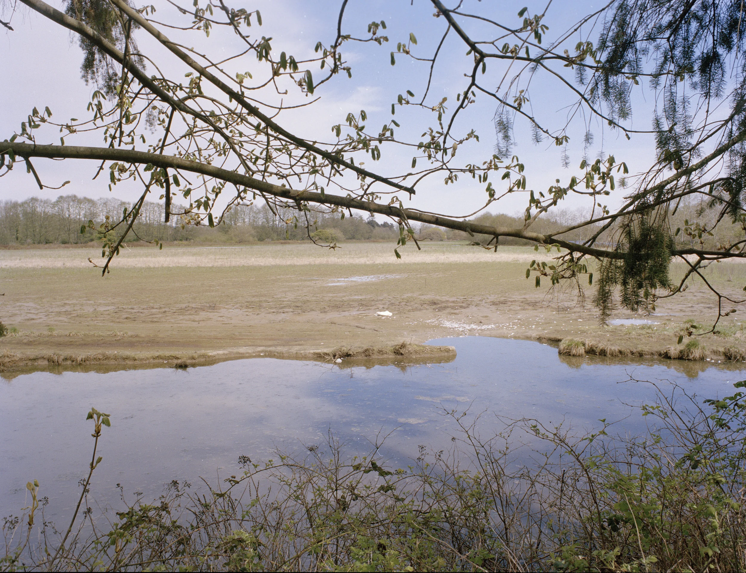 rifleisland_4.jpg