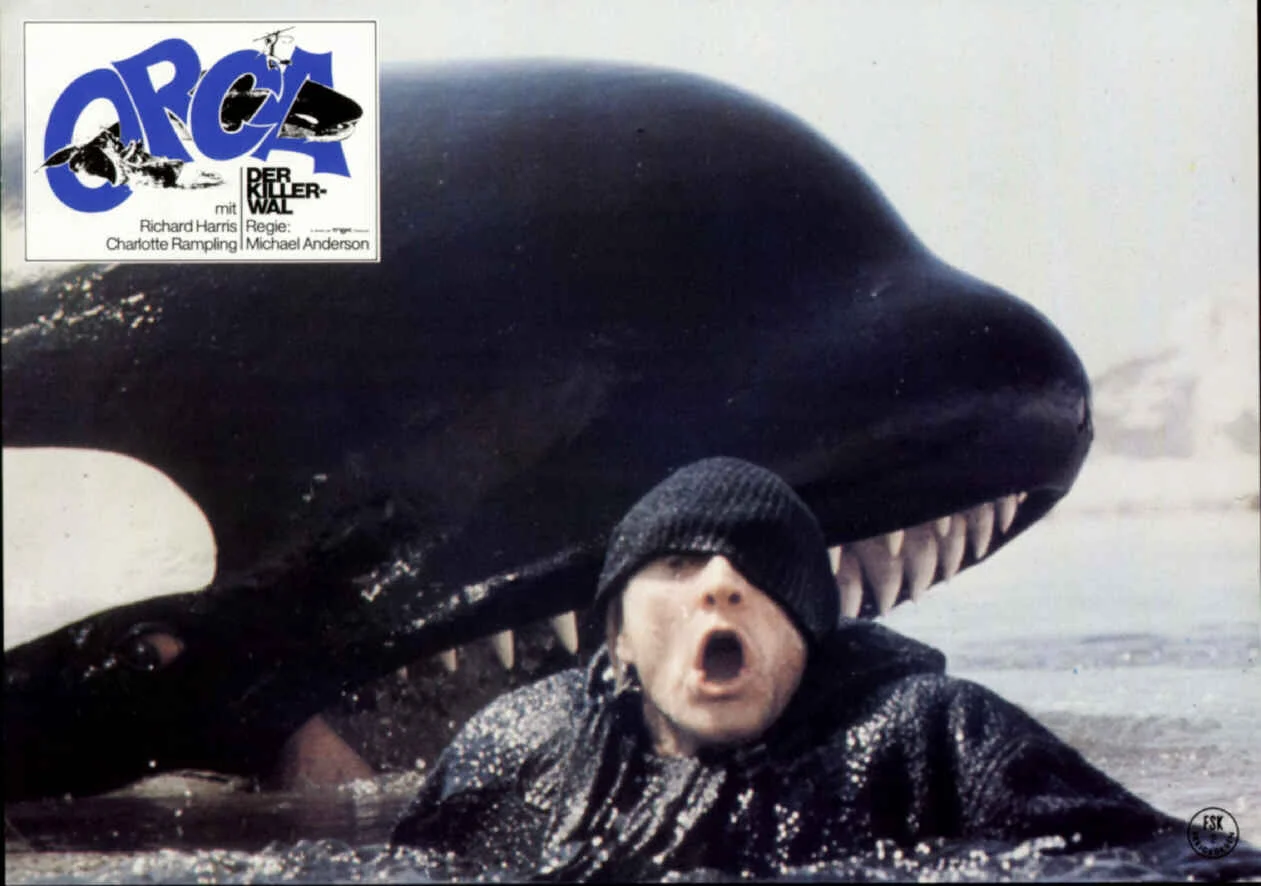 Orca.jpg