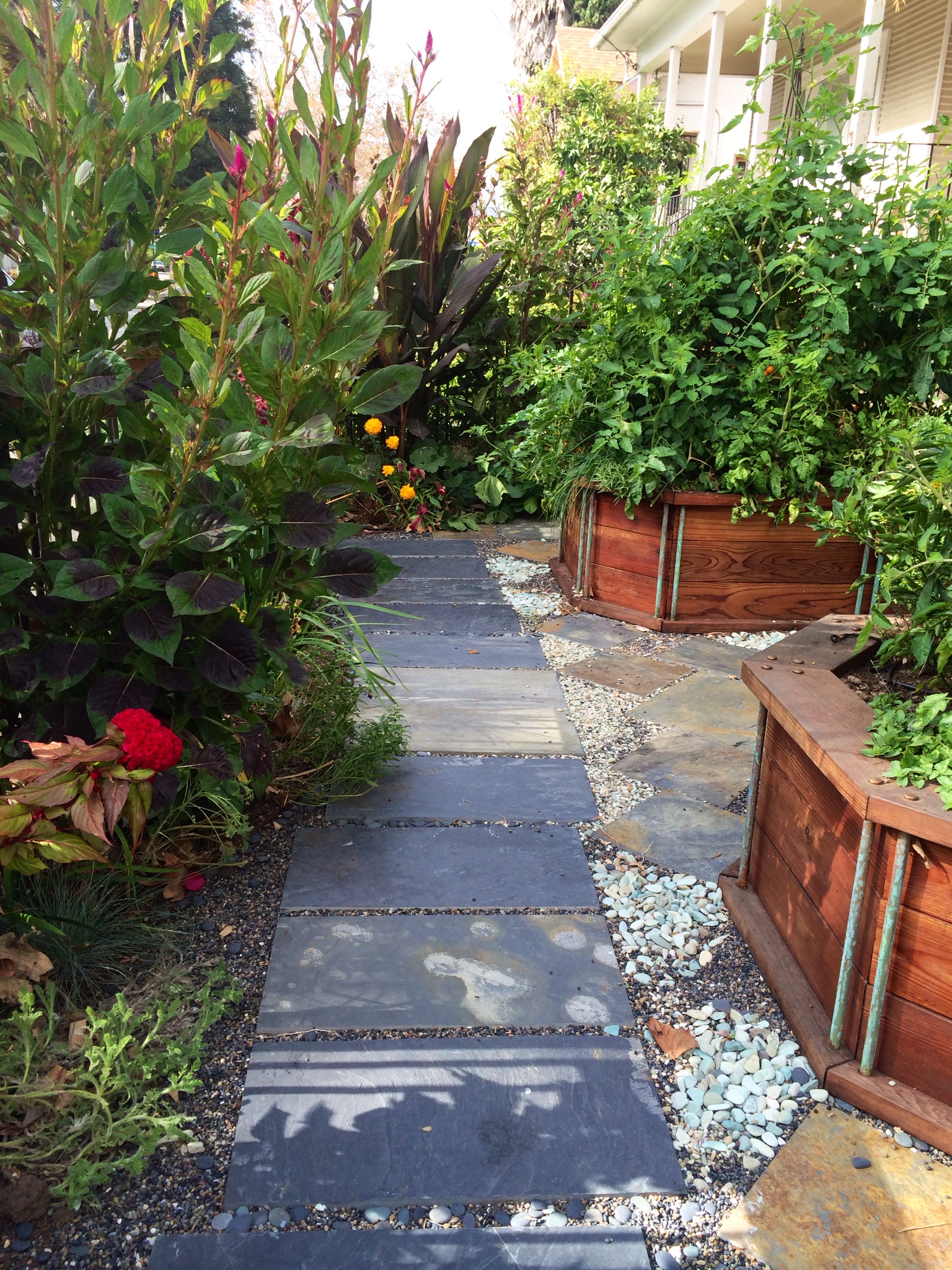 Edible Front Garden Design