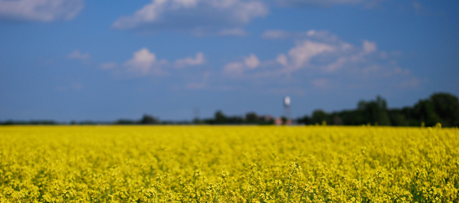 background3.jpg