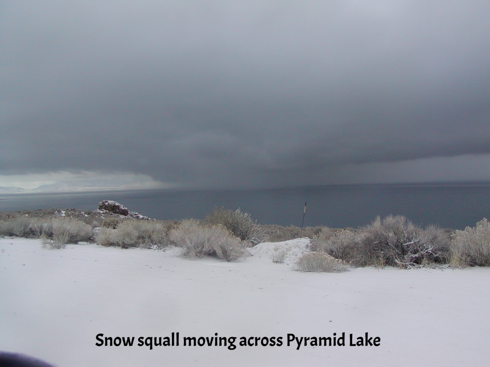 Snow squall on lake.JPG