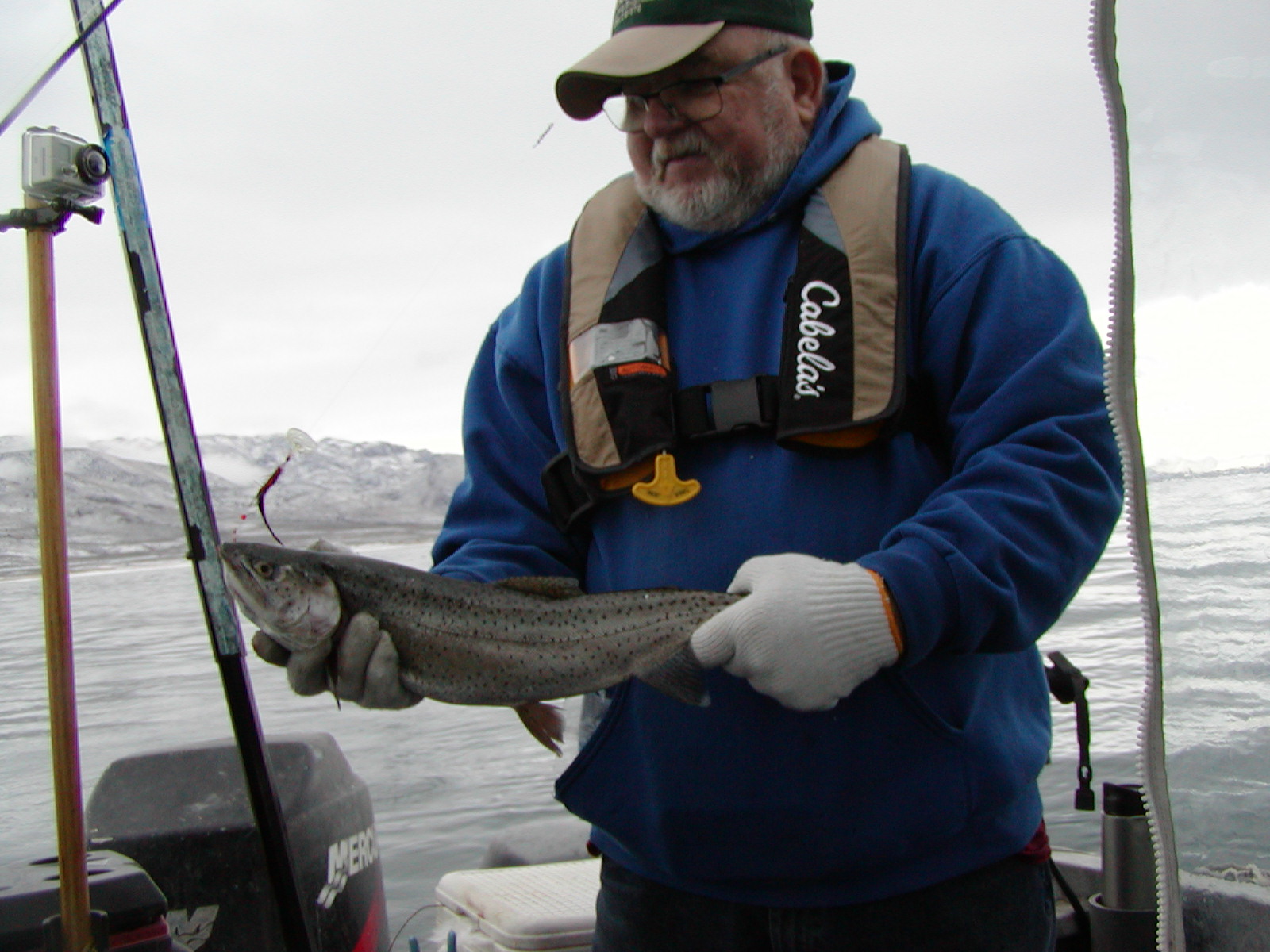 Cutthroat caught with an Arctic Fox Black/Red Tube Fly