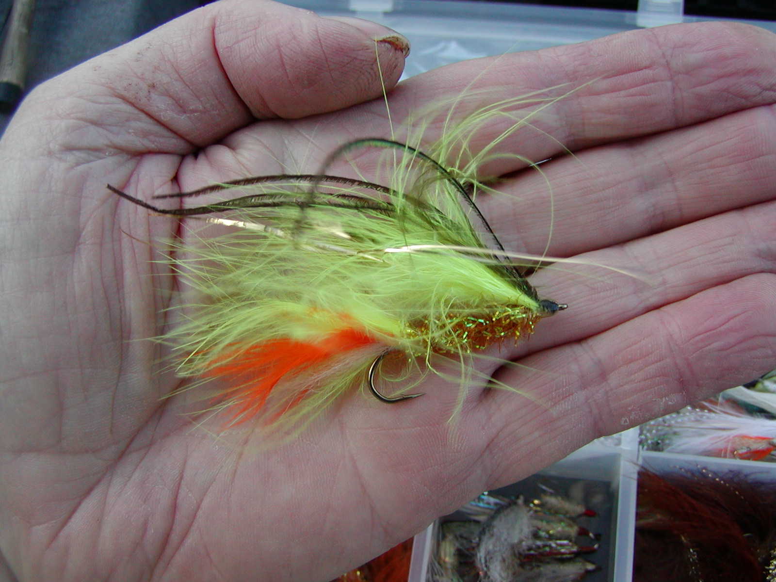 Chartreuse gold fly.JPG