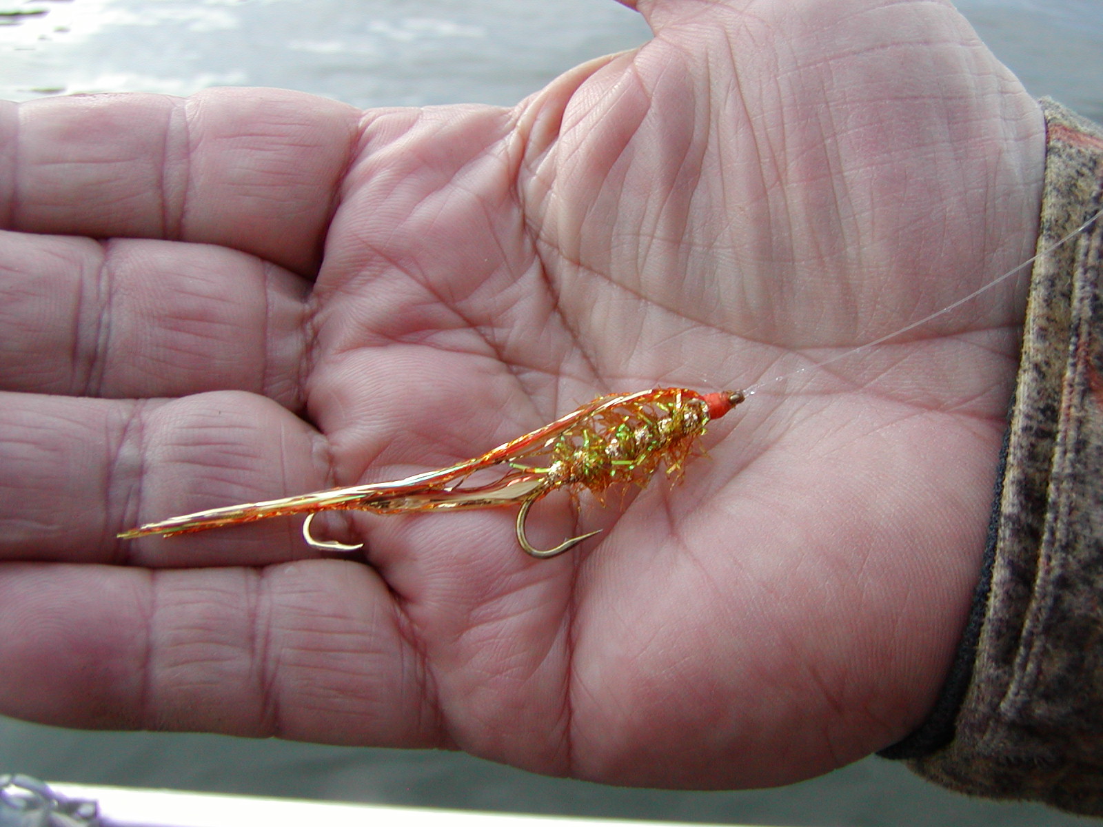 Gold fly in hand.JPG