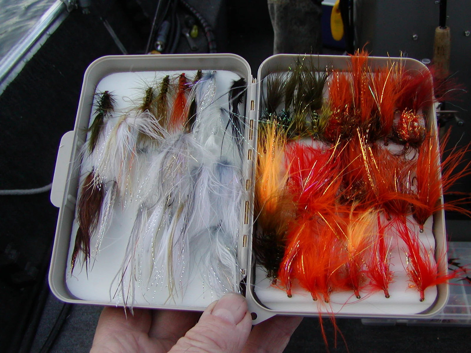 Fly Box II.JPG