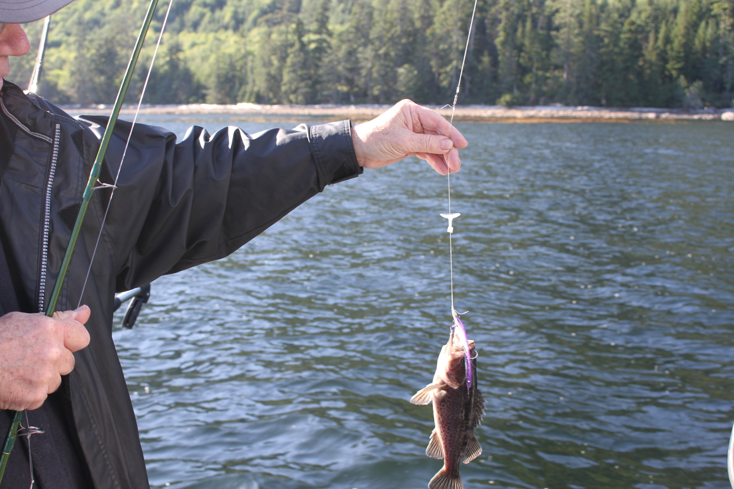 Wiggle Fin action Disc rig