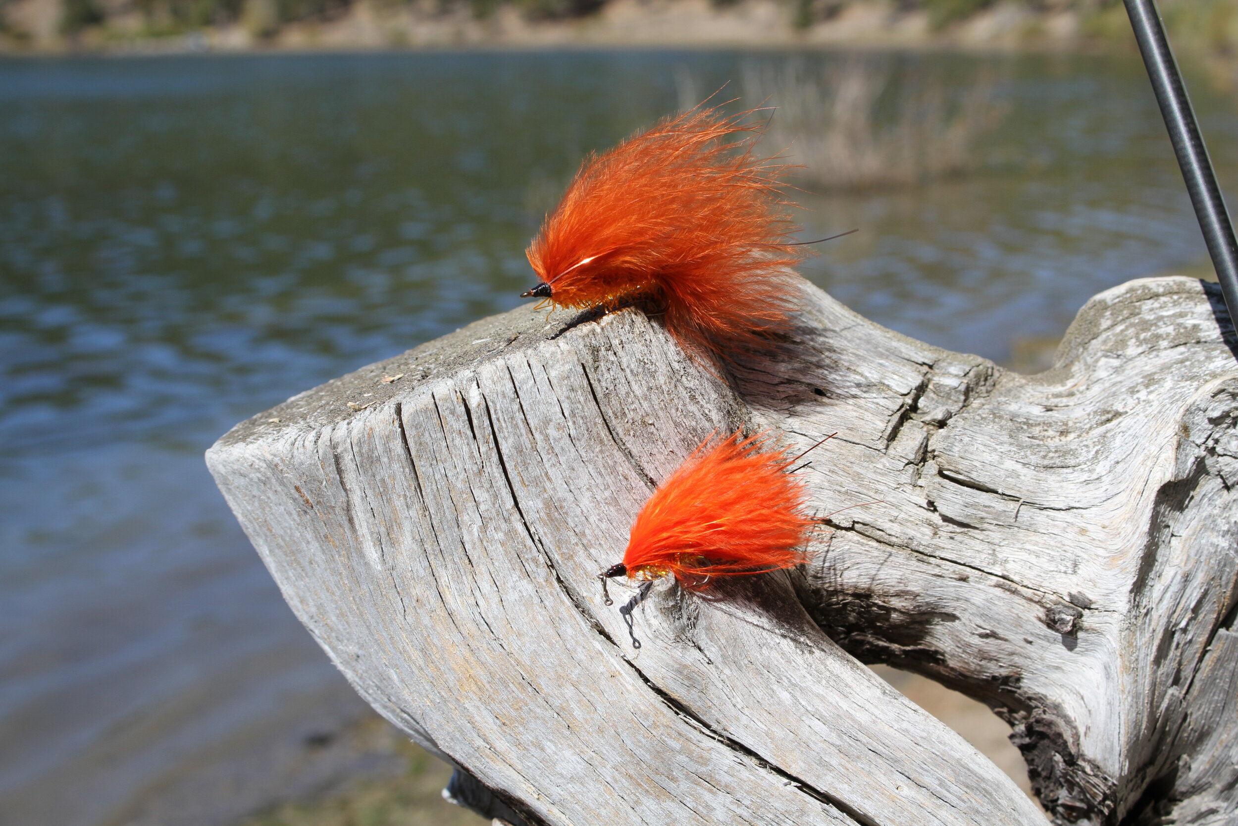 #4 Burnt Orange and #8 Hot Orange