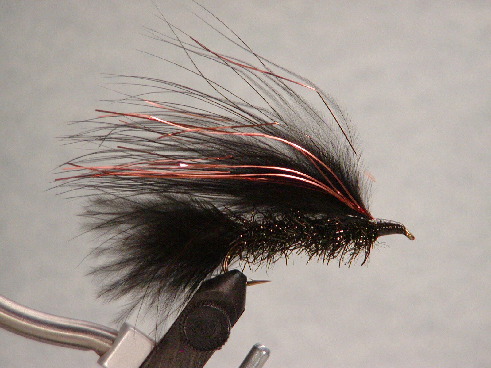 Black Leech.JPG