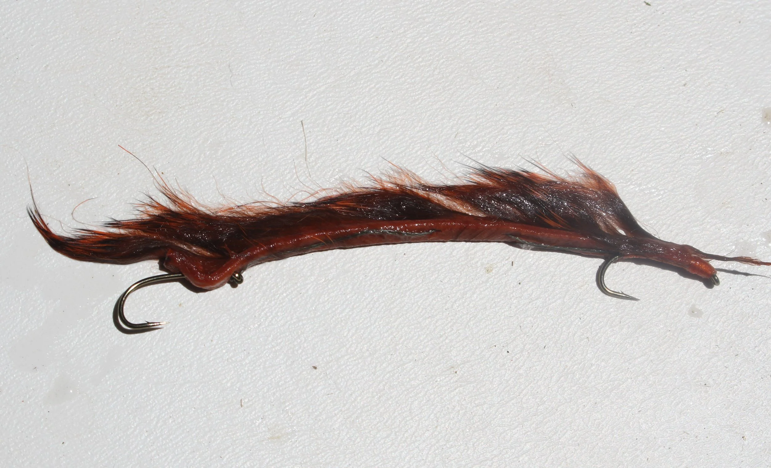 Orange varient wet.JPG