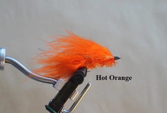 Hot Orange B.JPG