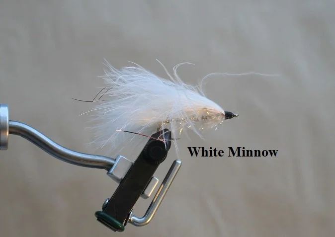 White A.JPG
