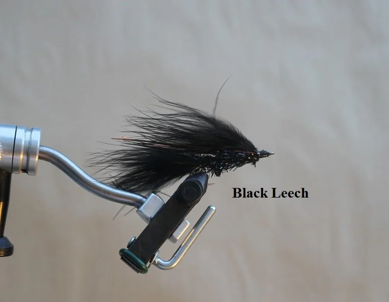 Black B.JPG