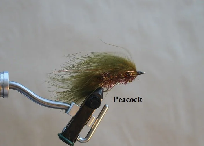 Peacock A.JPG