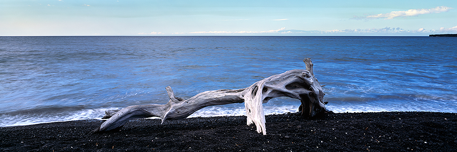 Beached driftwood : Kona 