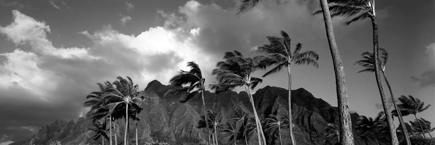 Kualoa Ranch : Oahu