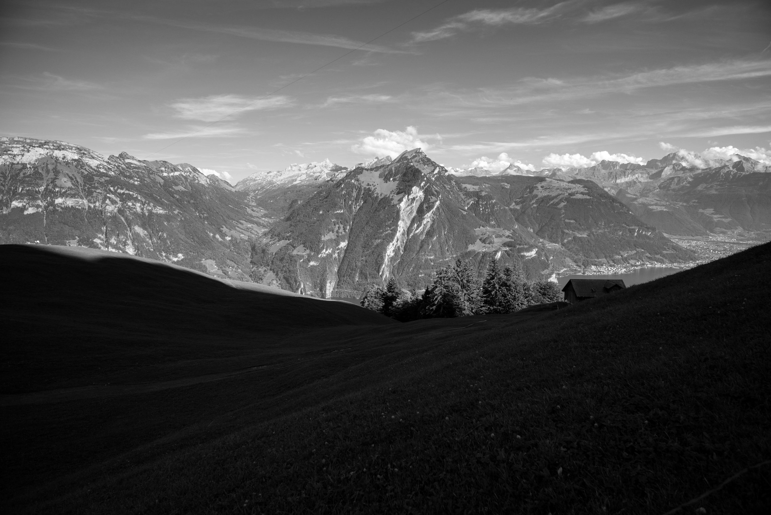   Grassy knoll on Alp Weid    Leica Monochrom 1/180s F22 ISO800  