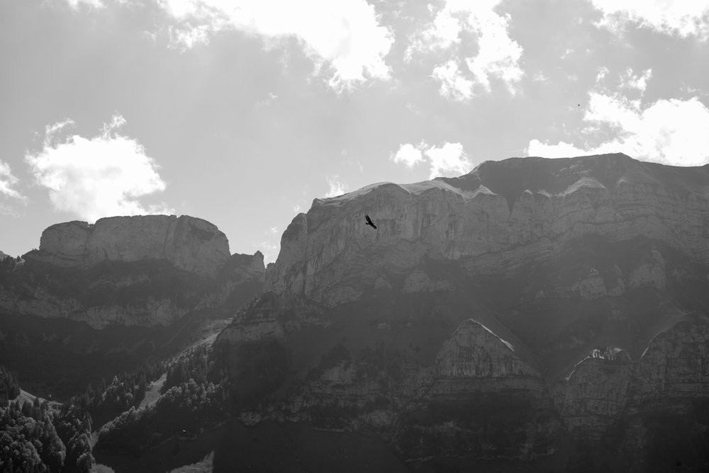   Bird gliding over Aescher    Leica Monochrom 1/250s F16 ISO250  