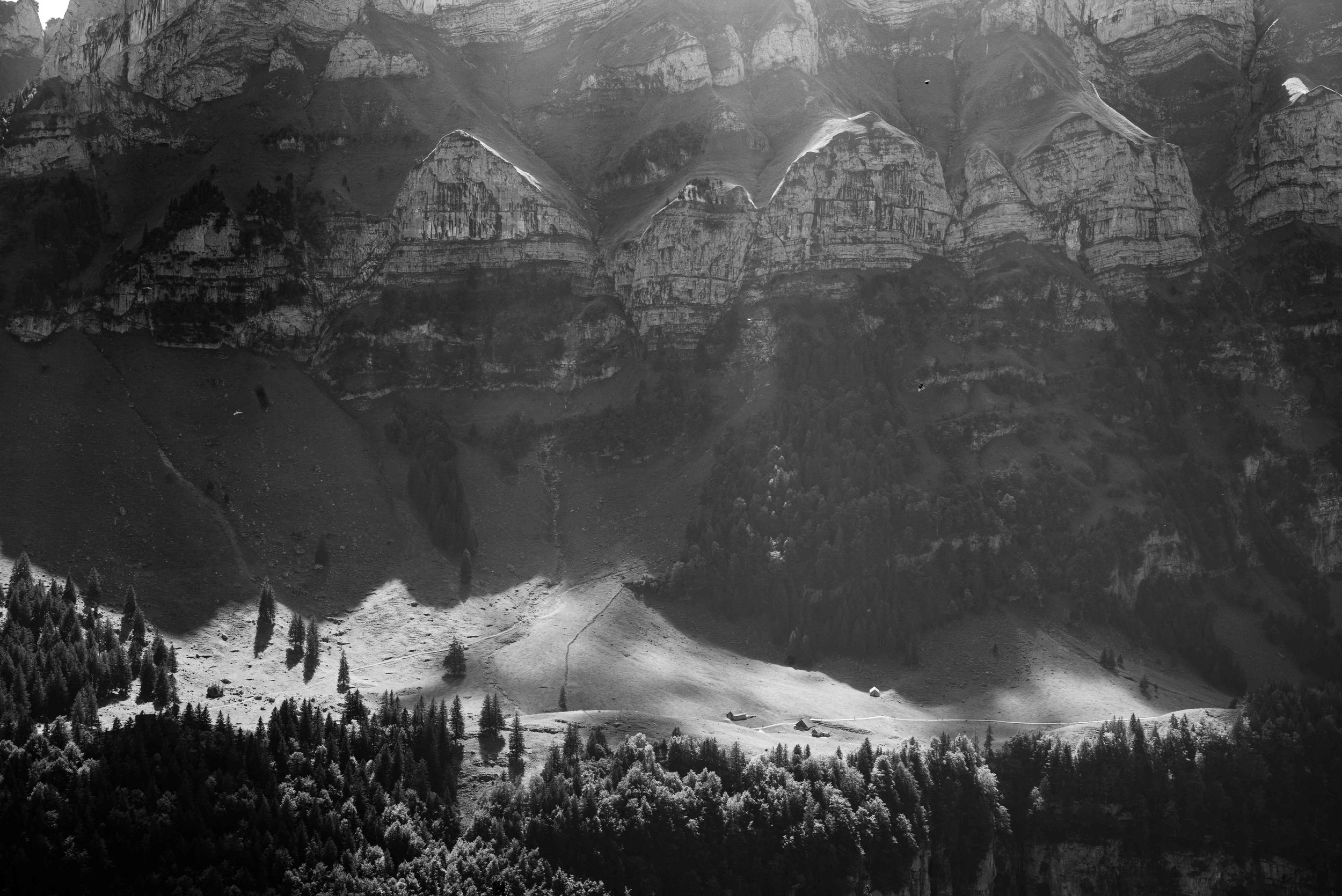  Midday light in the valley    Leica Monochrom 1/125s F16 ISO650  