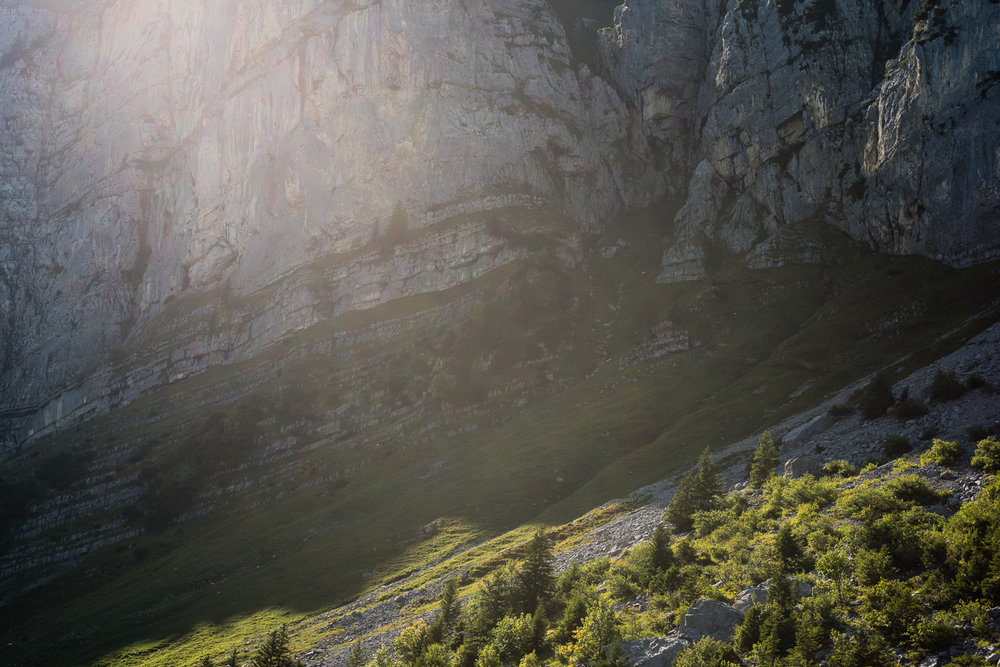   Fading light on Alp Weid    Leica M10 1/180s F8 ISO100  