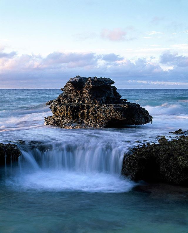 Exposed Reef, O&rsquo;ahu 2014 #mamiyarz67 #fujifilm #velvia50 #landscapephotography #designlife #ainaimagery