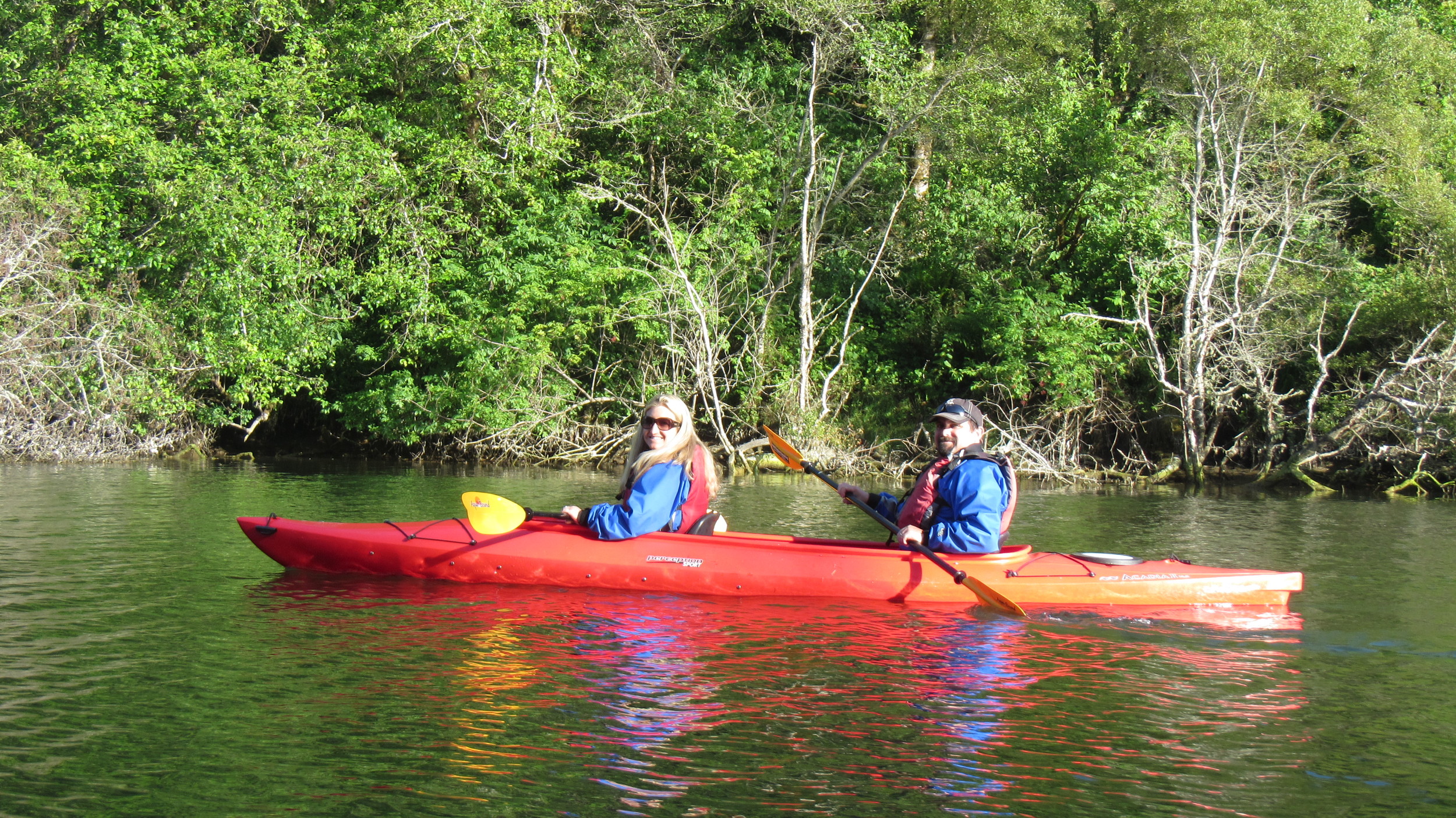 Sunset Bird Paddle