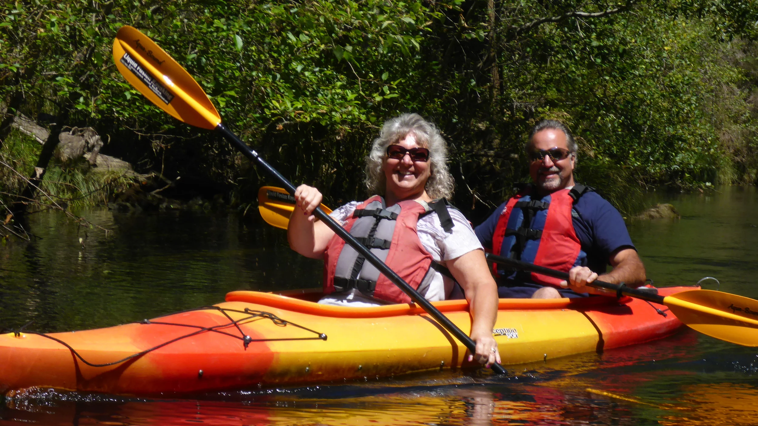 Noyo Meander