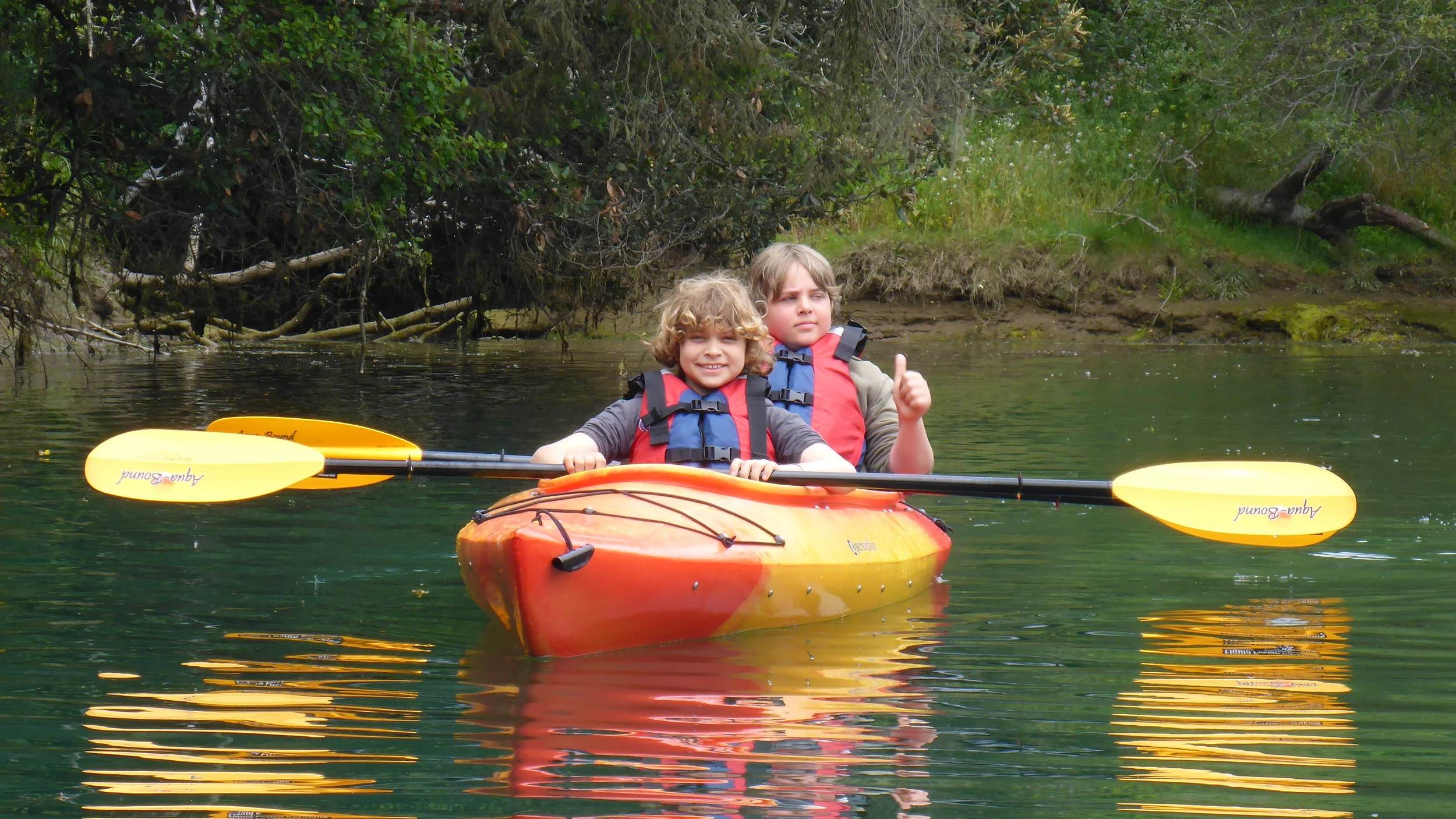 Noyo Meander