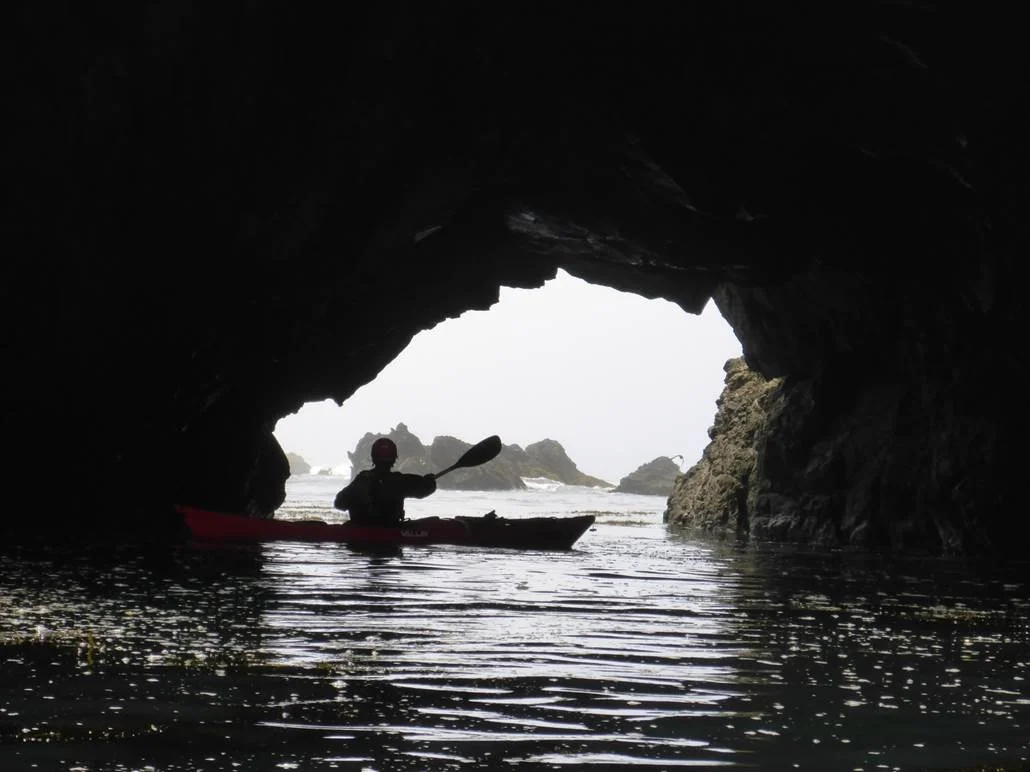 Coastal Exploration and Rock Garden Tour