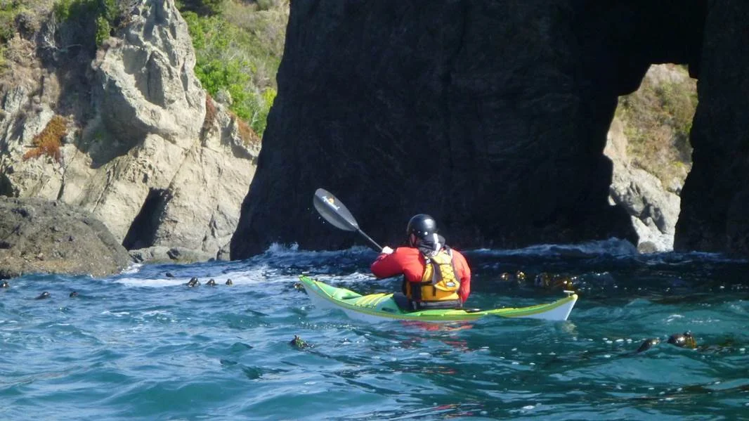 Sea Kayak Training on the Magical Mendocino Coast
