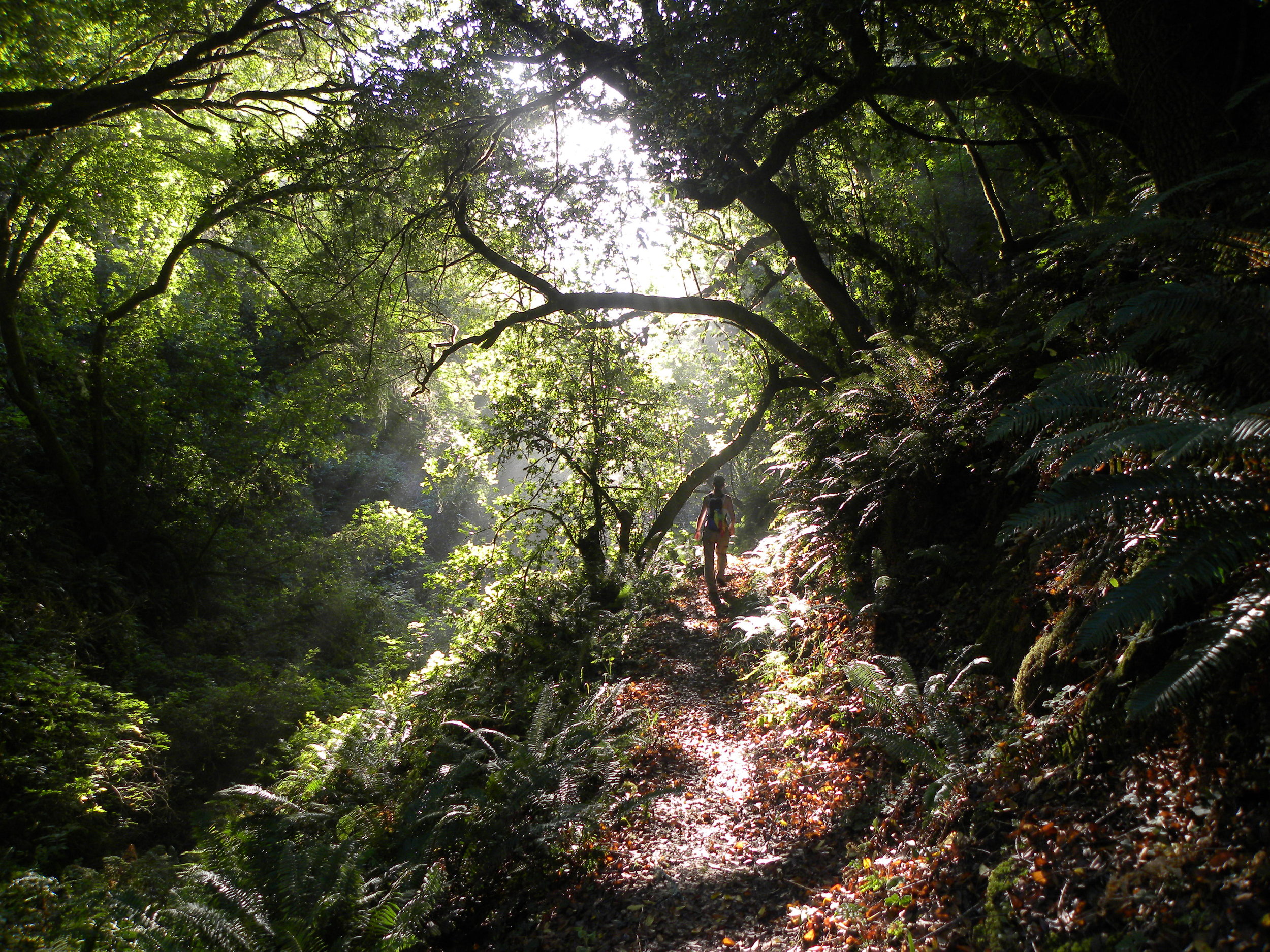 2011 09 29 Lost Coast 089.jpg