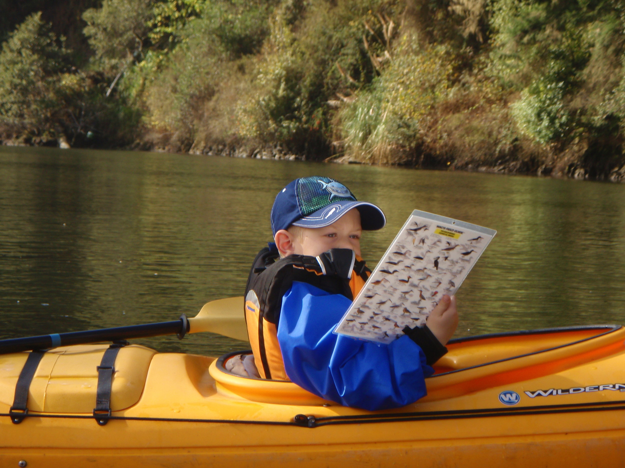 Birding Kayak Tour.JPG