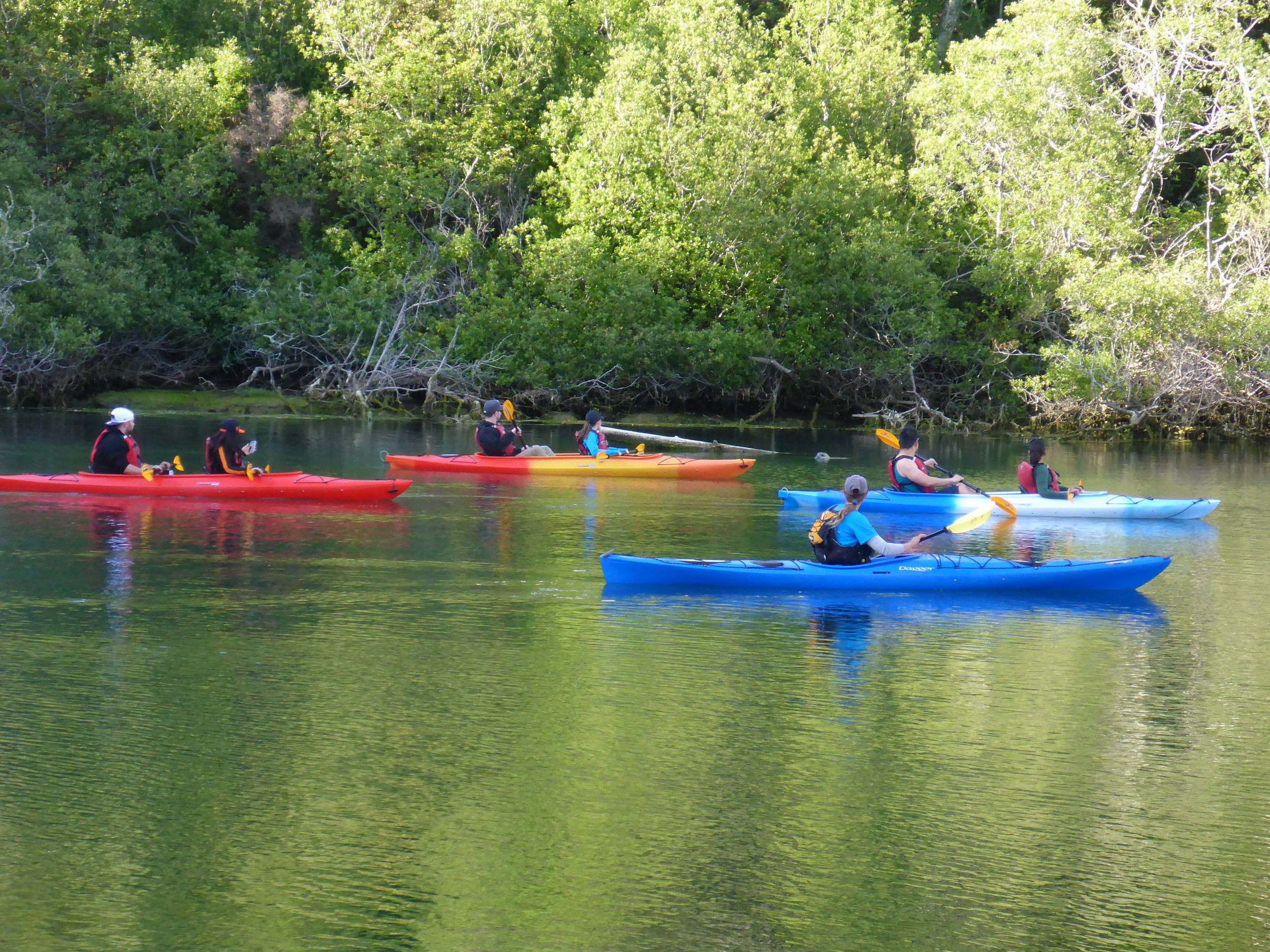 Mendocino Kayak Tour.JPG