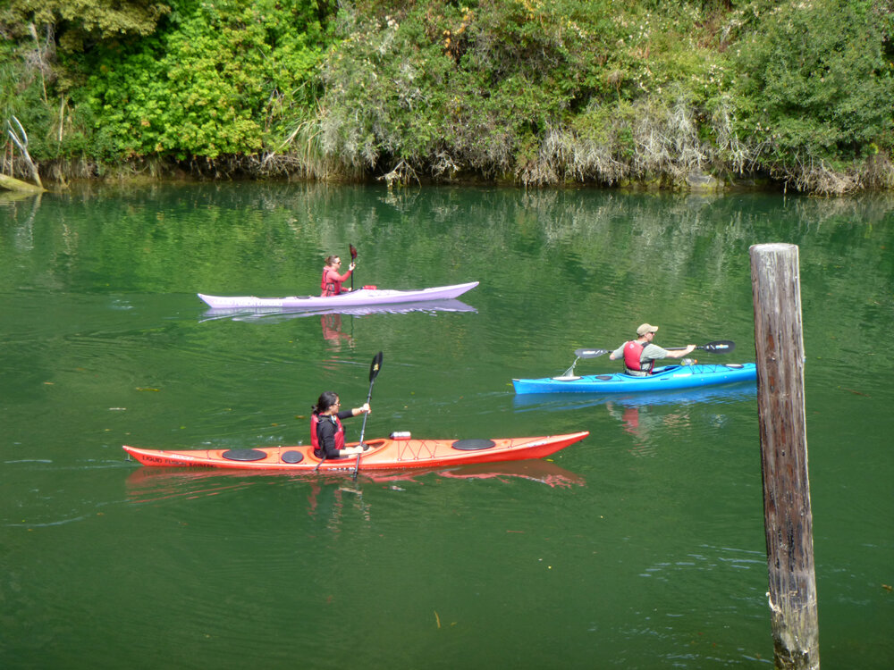 Beginning Sea Kayak Class.jpg