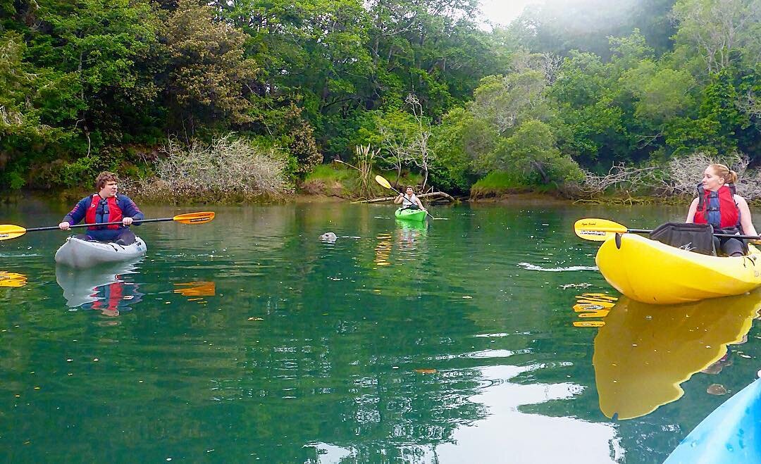 Kayak Lesson on Noyo River