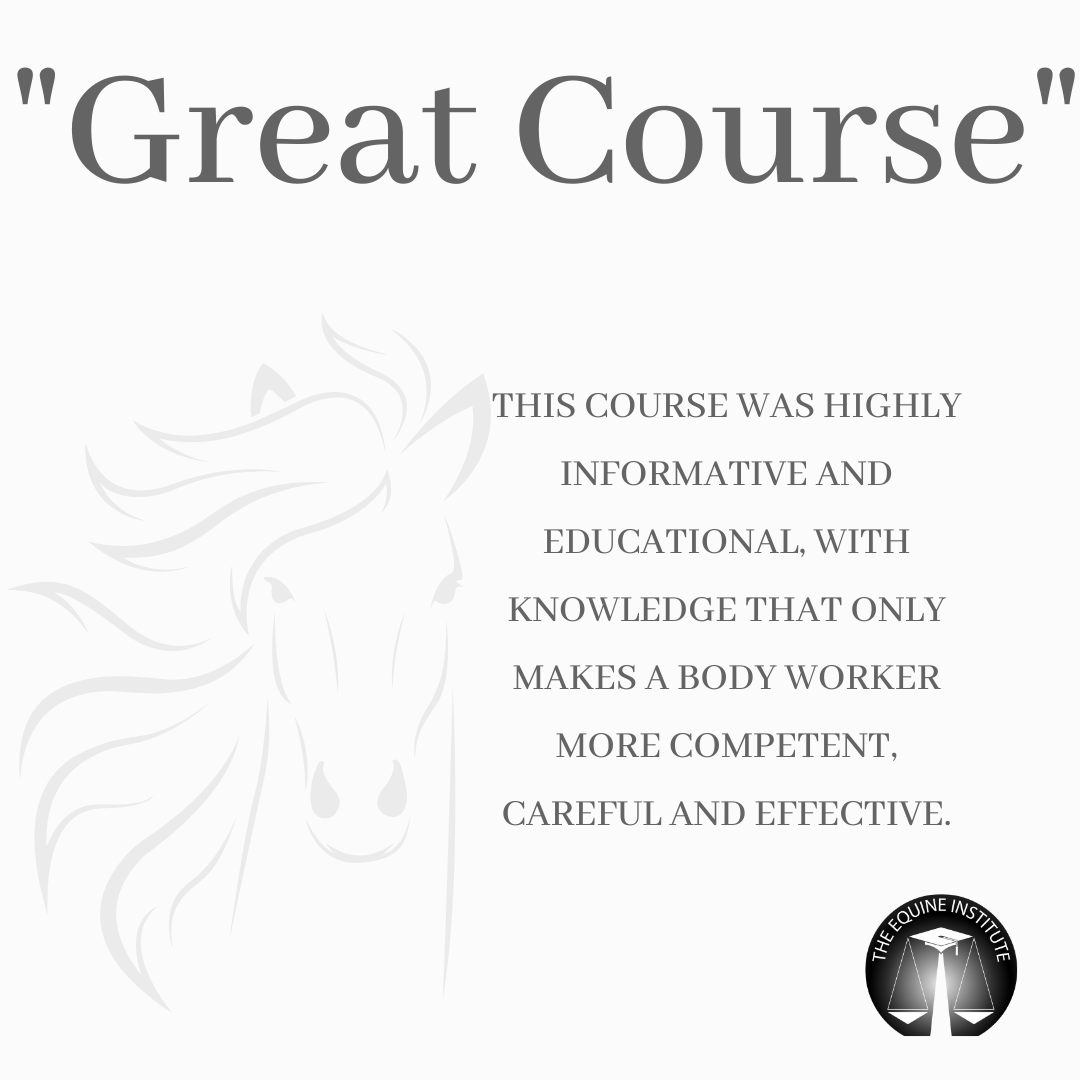 The Equine Institute Online Horse Health Courses The Equine Institute Online Horse Health Courses