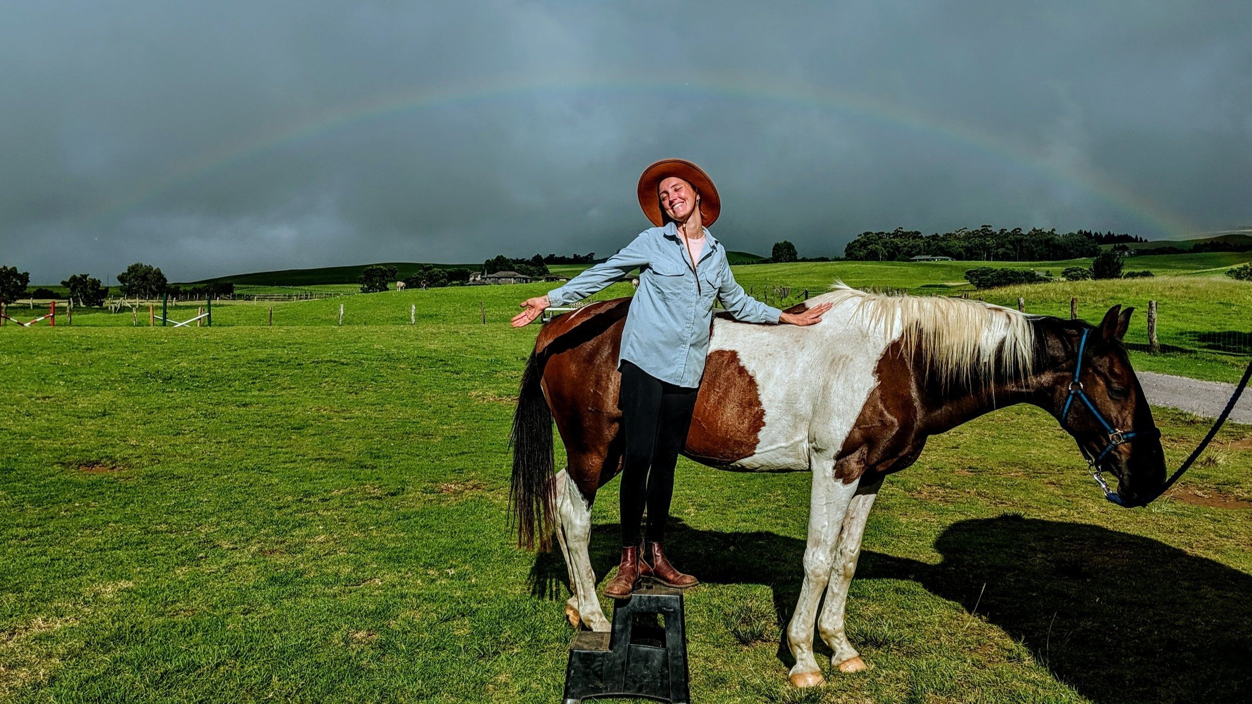 Horse Courses for Everyone The Equine Institute Horse Courses for Everyone The Equine Institute