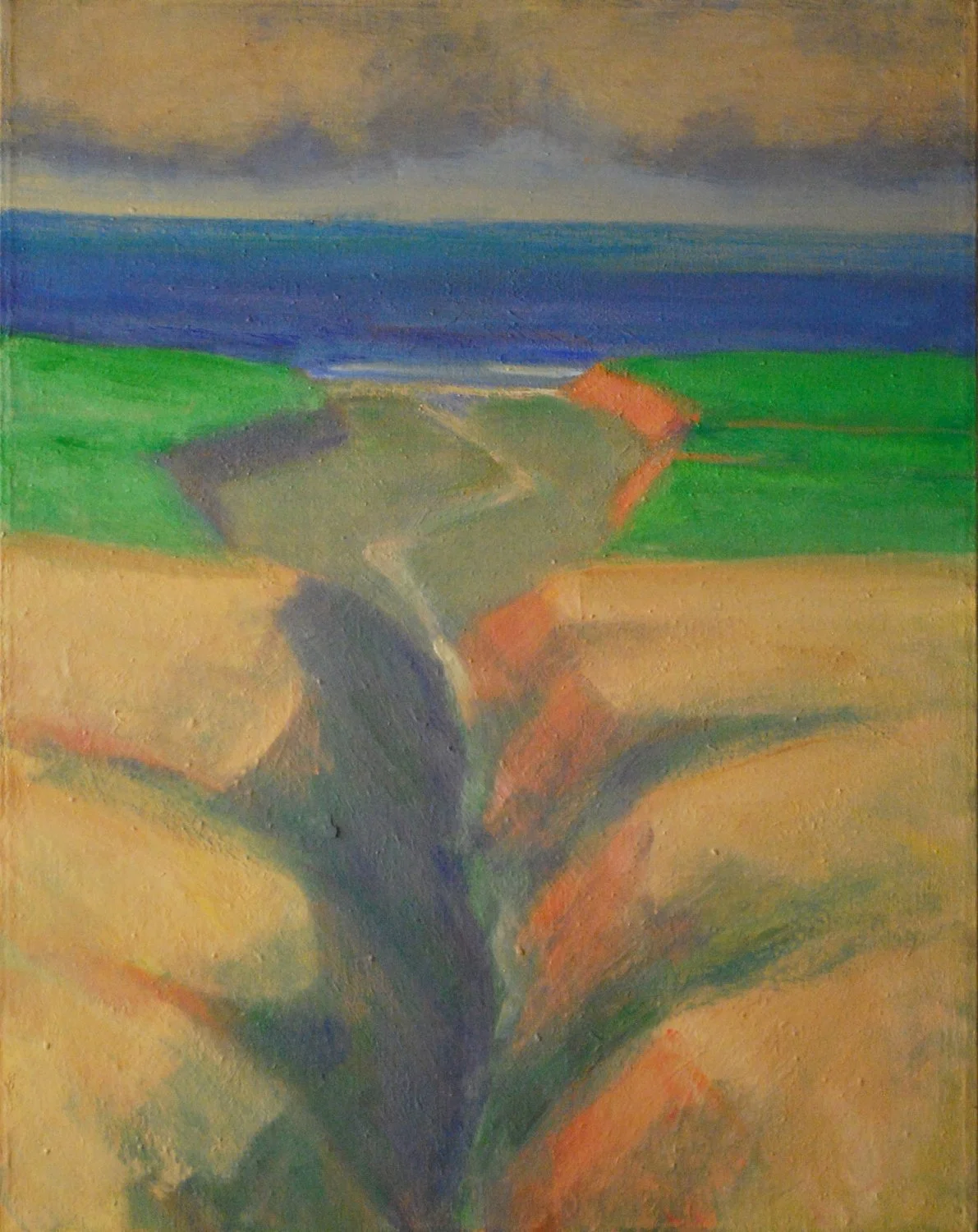 107. Cultivated Coastal Terrace  28 x 22.jpg