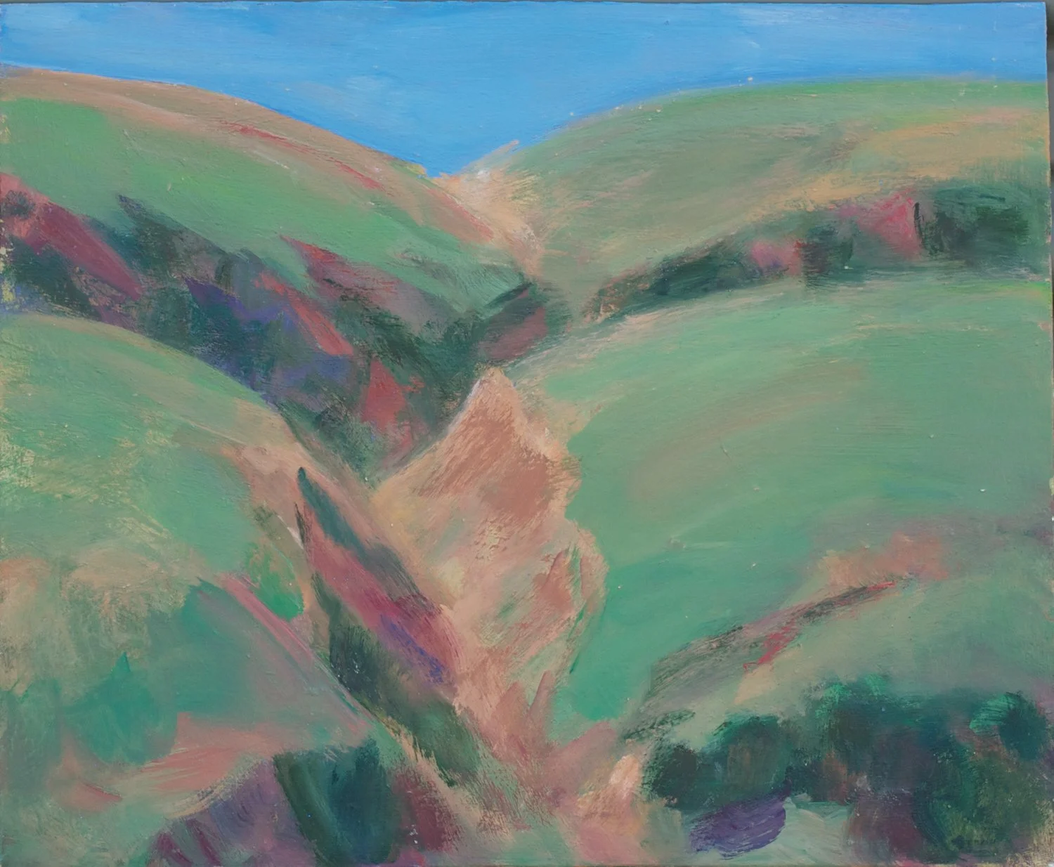 Small #9.    Eroded Coastal Hills