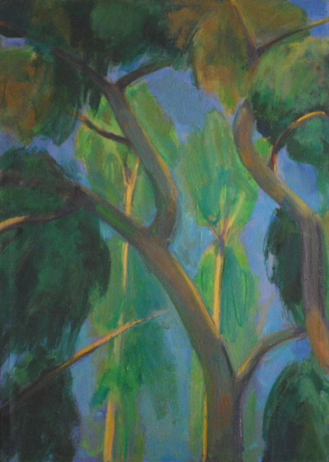 17. Eucalyptus Canopy  36 x 26.jpg