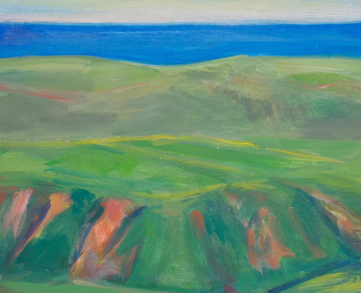 Small #19.  Gullied Field in Coastal Fields