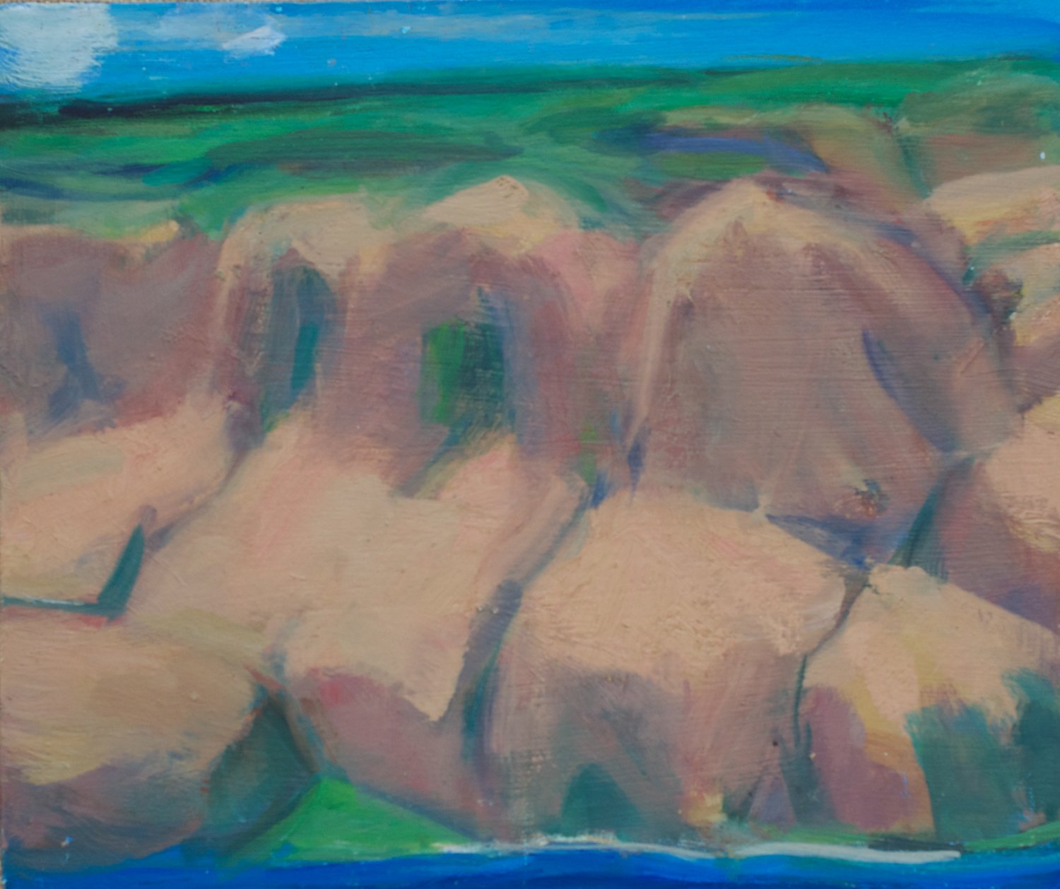 Small #20.  Coastal Landforms