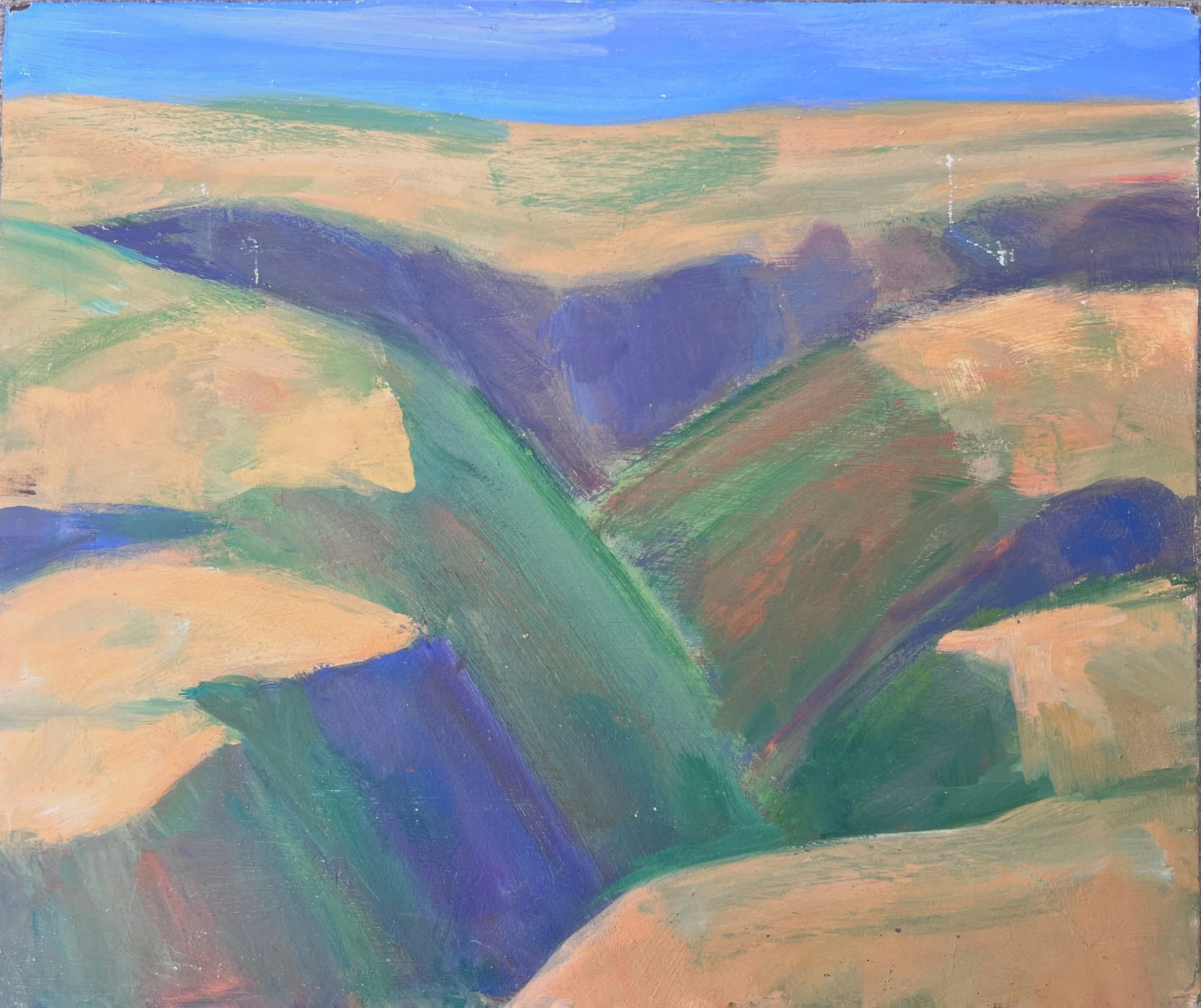 Small #13.  Canyon in Plateai