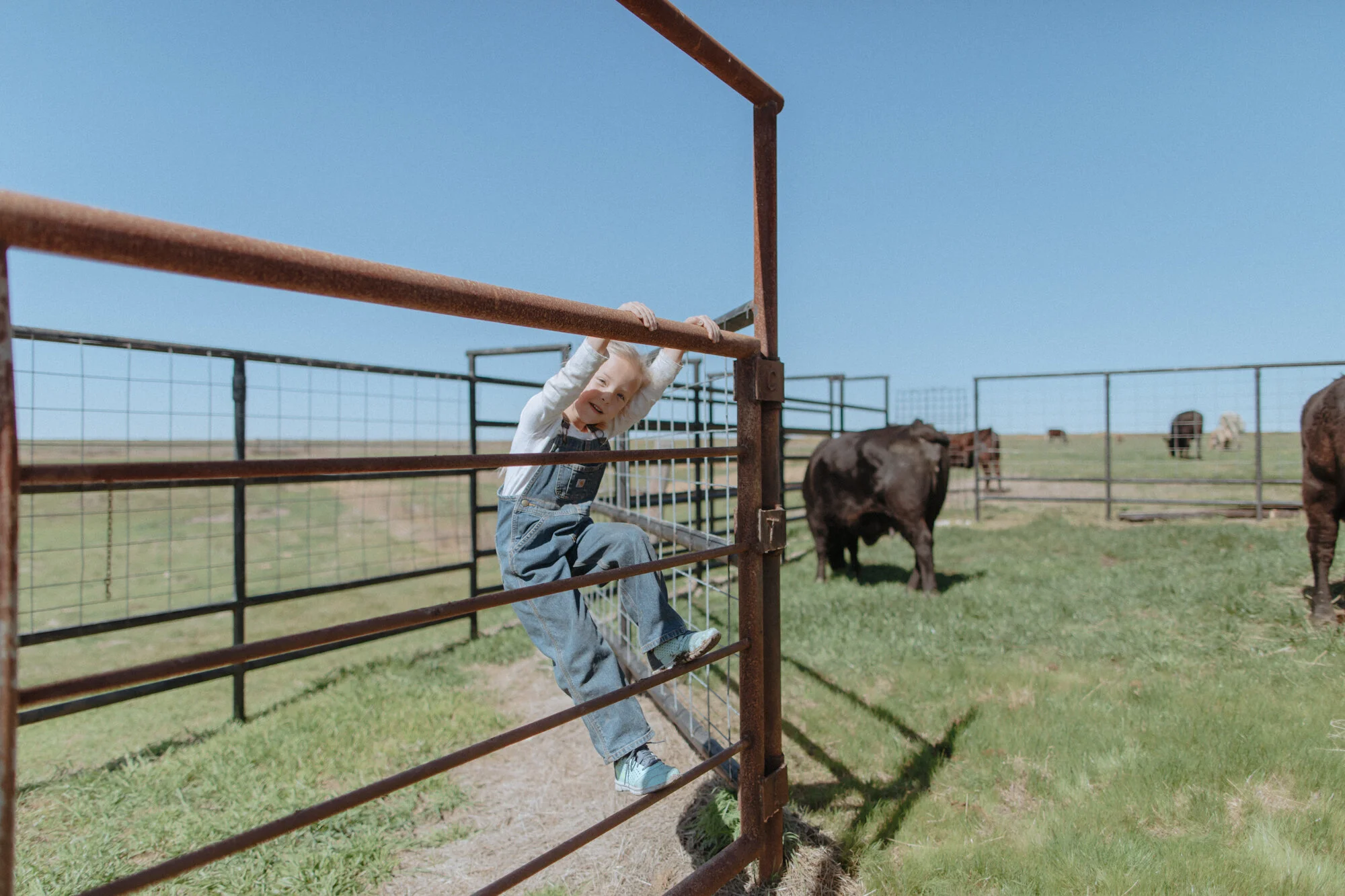 F20_GING_FARM_TEXAS_3177.jpg