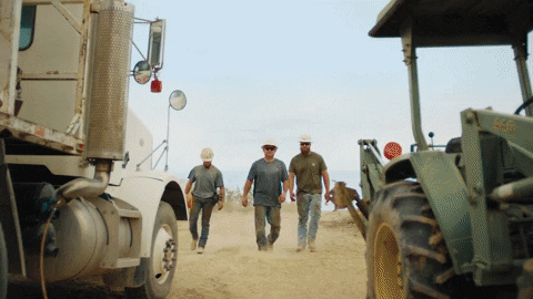 Animated GIF-downsized_large.gif