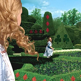 Alice_thumbnail.jpg