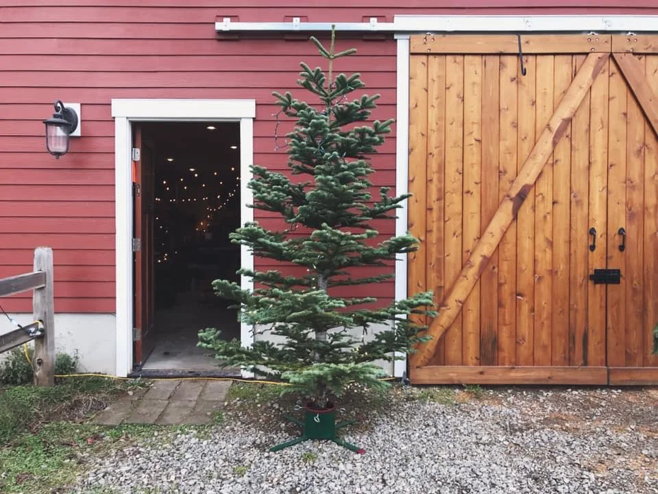 wreath workshop2.jpg