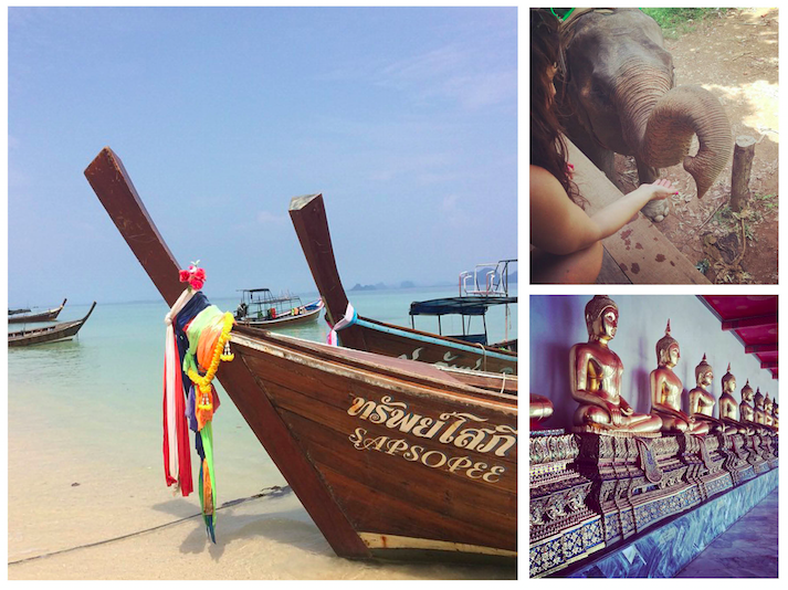  thailand sea life&nbsp;// ching chang koh lanta // bangkok buddhas 