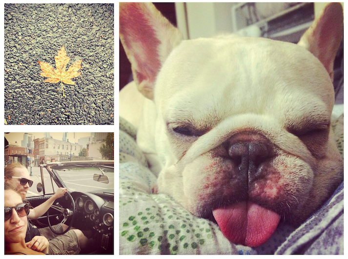  portland's gold&nbsp;// corvetting&nbsp;minneapolis // alice aka&nbsp;#missladypig&nbsp; 