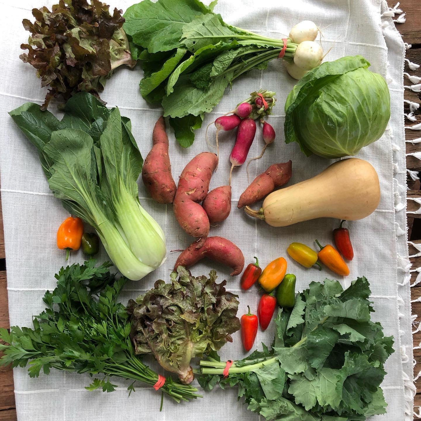 CSA Week 21 Look at the fall colors coming in.