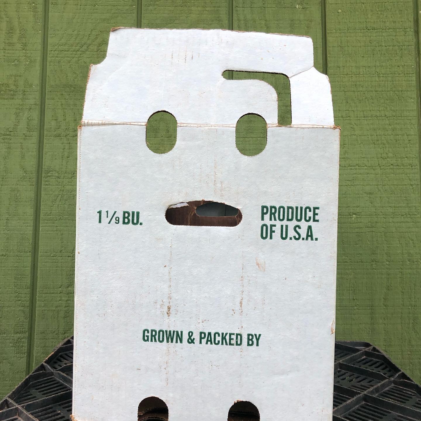 Have you seen box man?